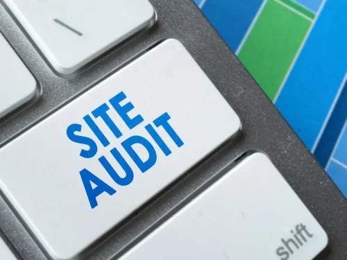 2222.webp Website Performance Audit