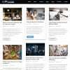 blog-3-column-min.jpg WP Marketing Premium theme