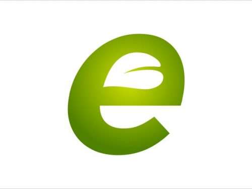 Letter E Leaf Vector Logo